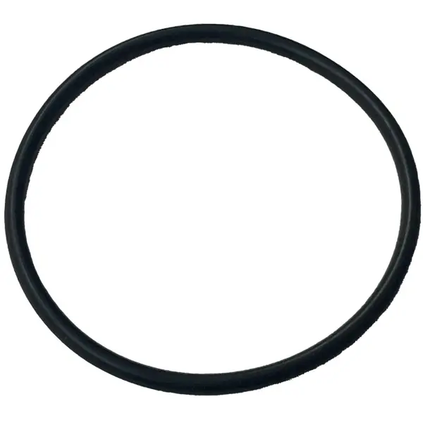 O-ring/M 33,05-1,78  voor UV-C Sensor