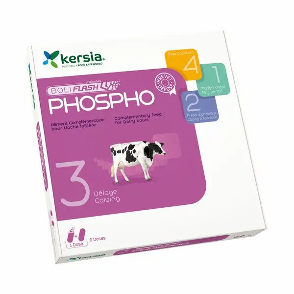 Boliflash Phospho, 6 X 2 bolussen Kersia
