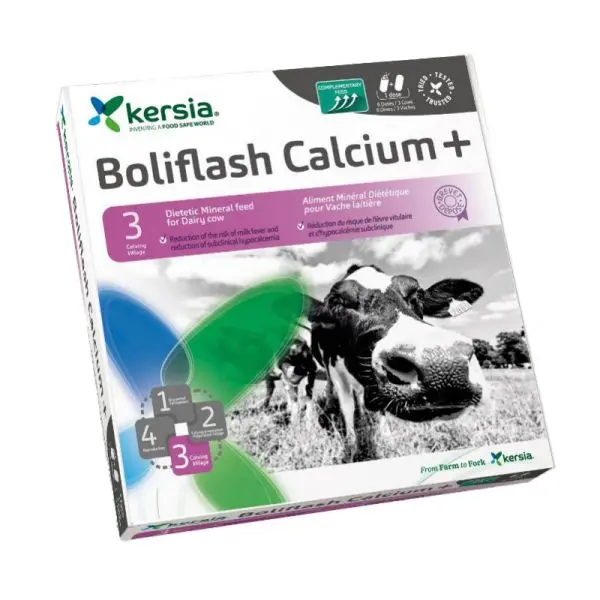 Boliflash Calcium+, 6 X 2 bolussen Kersia