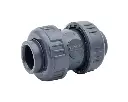 PVC check valve