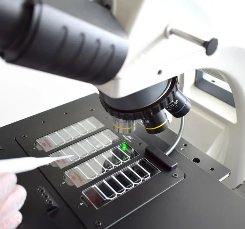 Smartstage voor Magavision