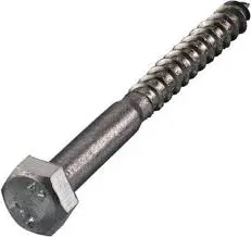 Stainless steel coach screw