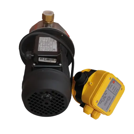 [A01077] Pompe jet inox avec régulateur DSK, 0,75 kW 230 volts