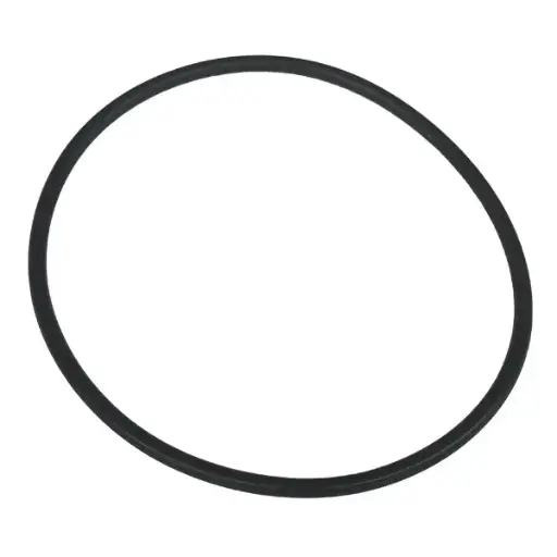 [A01157] O-ring t.b.v. Filterhuis 3-delig