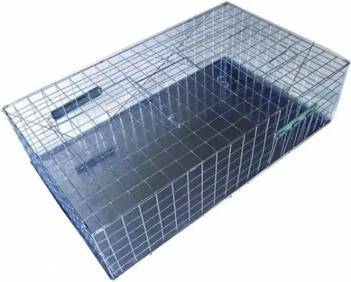 [A02195] Trap cage for pigeons and crows