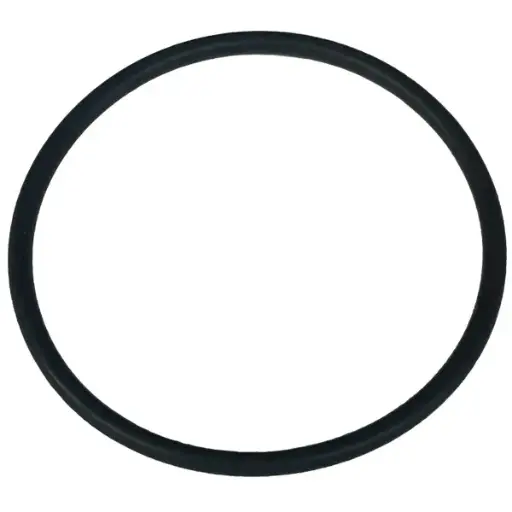 [A02397] O-ring pour bouchon 3/4 pour UV-C Dulcodes 230 & 350 watts