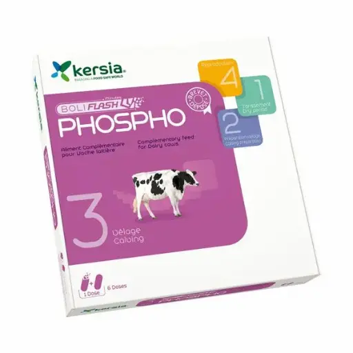 [A02620] Boliflash Phospho, 6 X 2 boluses 
